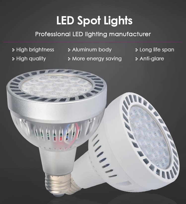 (image for) Led Par30 Bulb